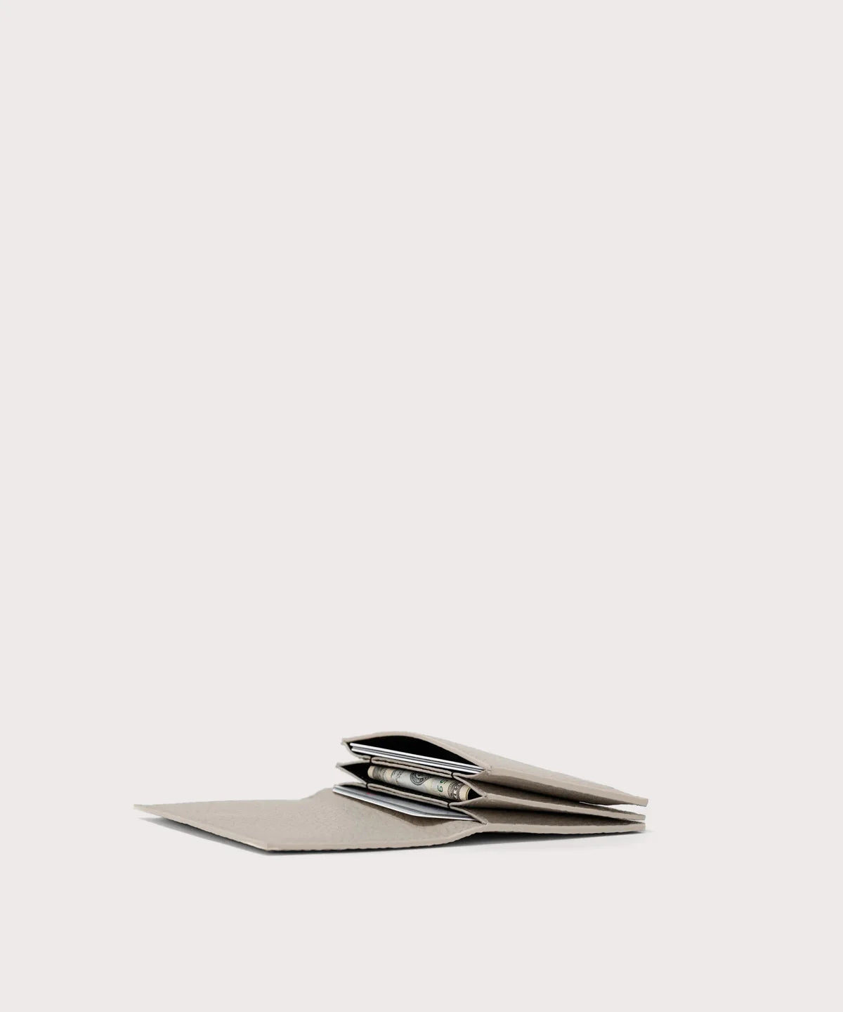 Accordion Card Case in Bone
